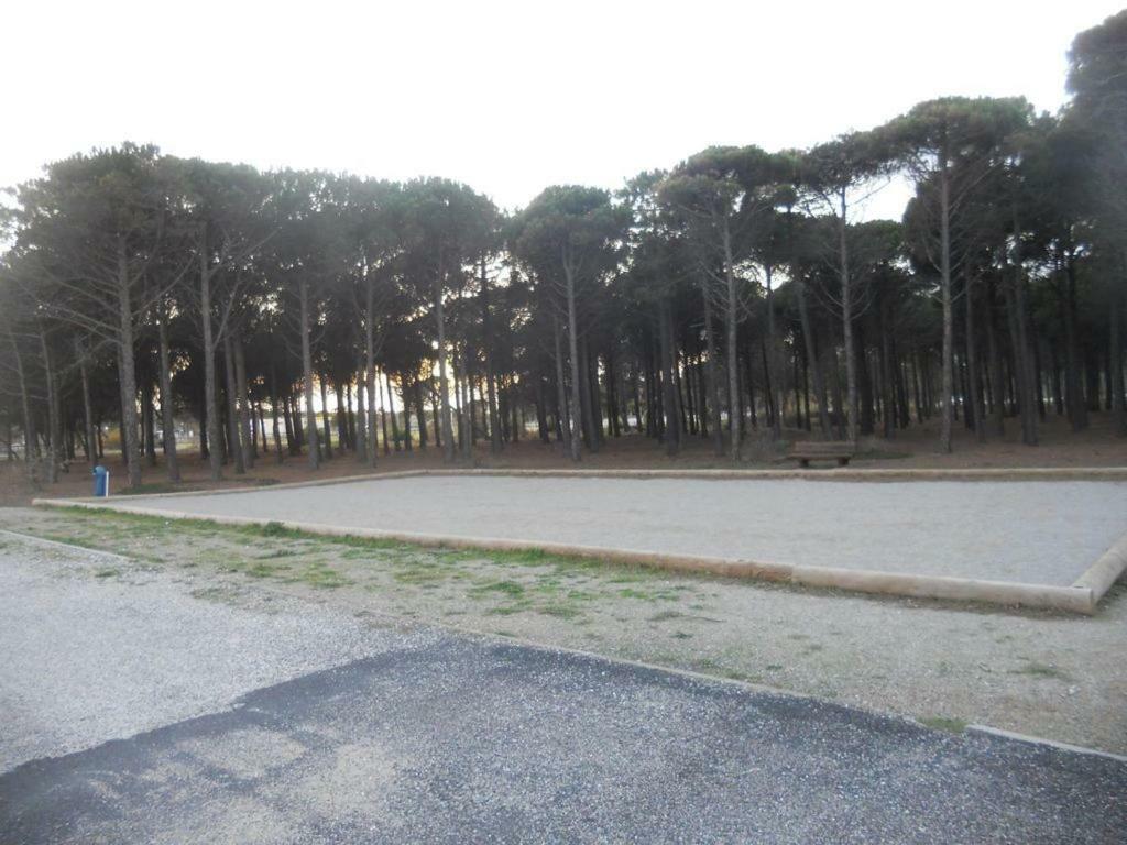 Barcaresa-Villa Vue Mer Acces Direct Plage - Piscine Le Barcarès Exteriör bild