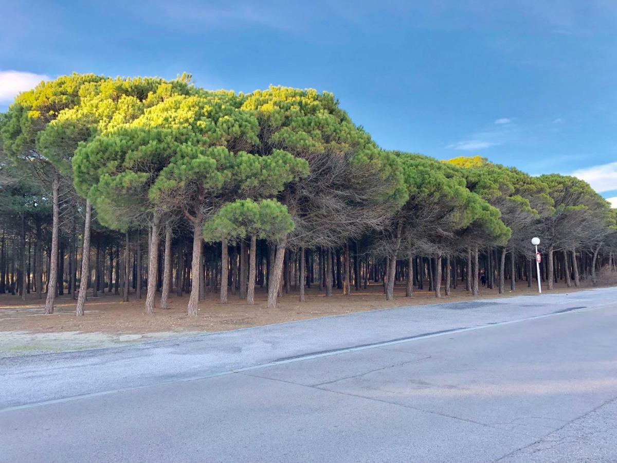 Barcaresa-Villa Vue Mer Acces Direct Plage - Piscine Le Barcarès Exteriör bild